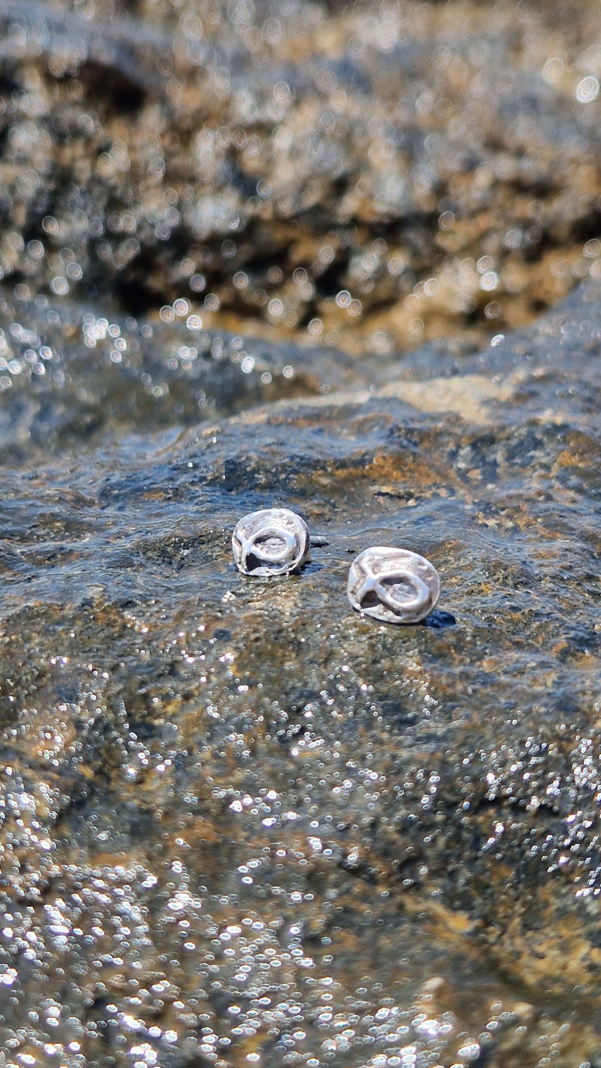 Small sterling silver fish earrings, hand carved design.