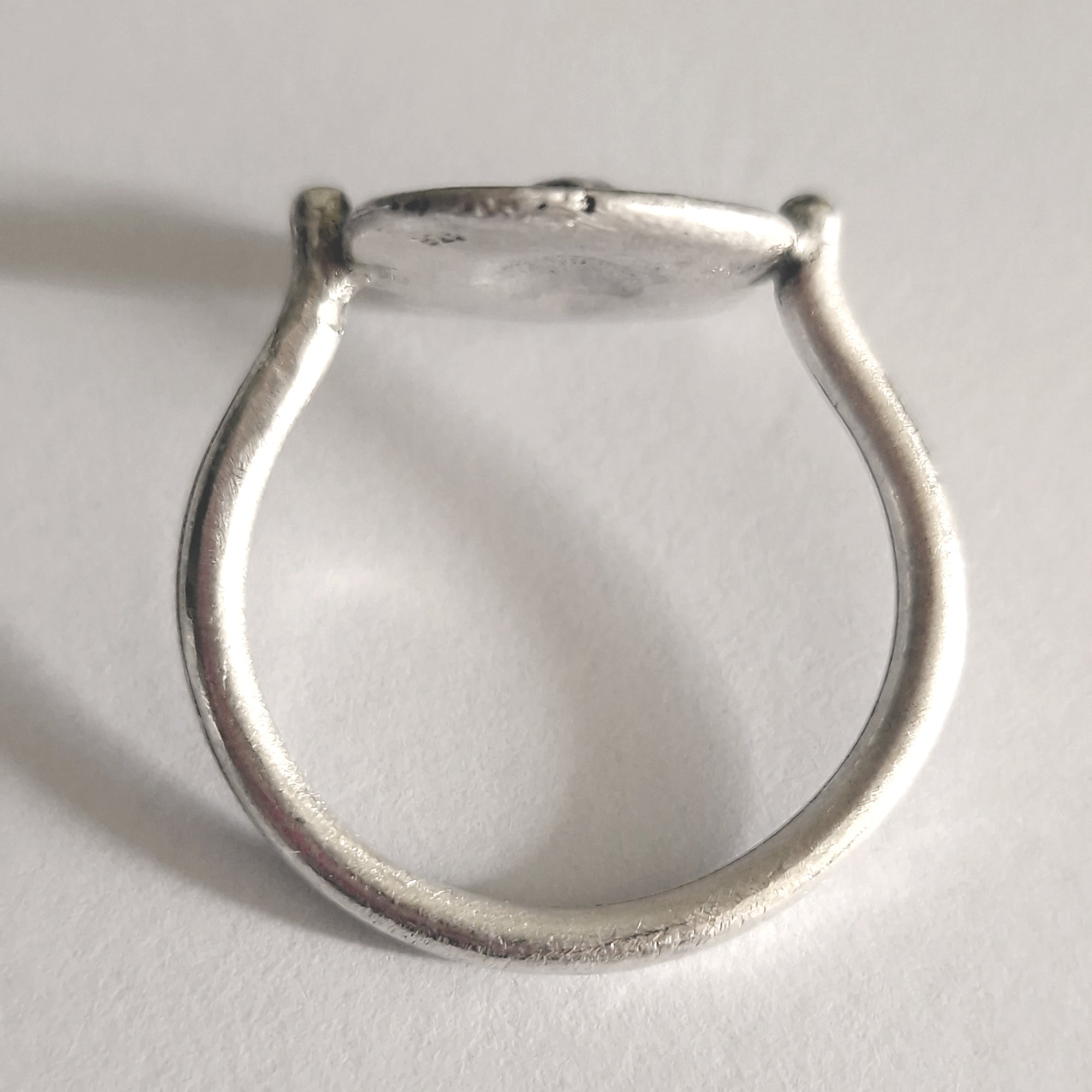 «Love for Nature» silver, signet ring