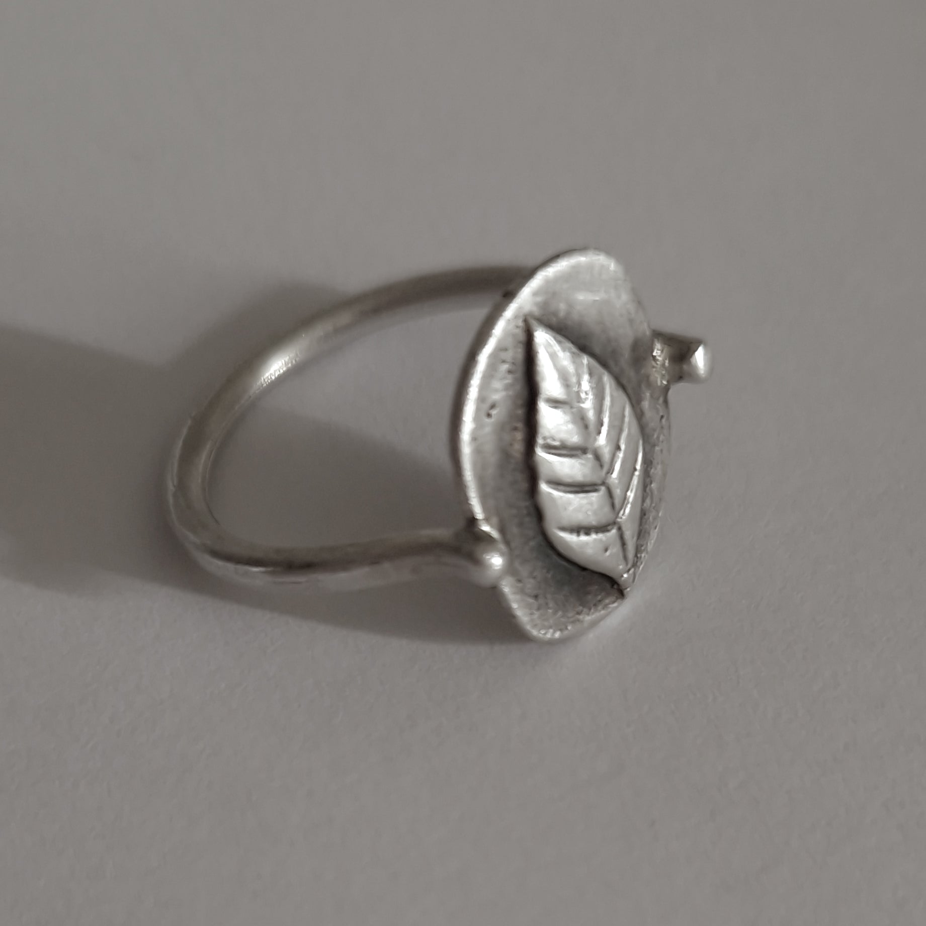 «Love for Nature» silver, signet ring