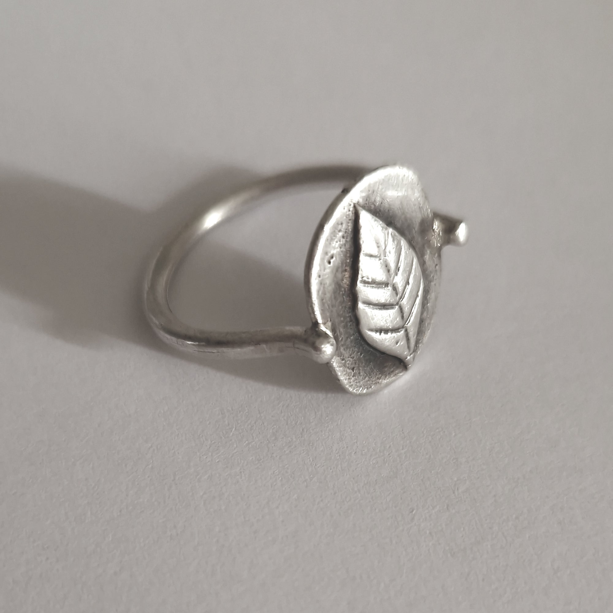 «Love for Nature» silver, signet ring